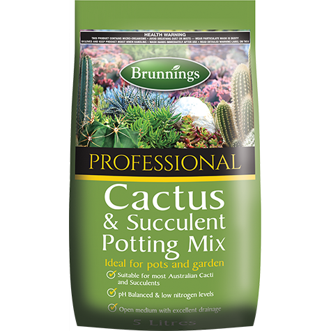 Cactus mix 1