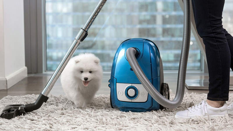 Carpet-Cleaning-Tips-for-Pet-Owners-in-Penrith